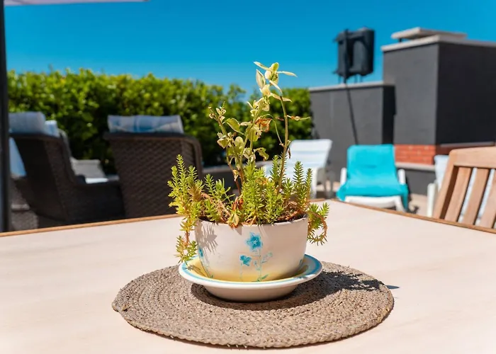 펜션 My Dalmatia - House Festini With Private Jacuzzi & Sea View *