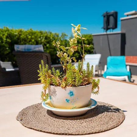 Tatil Evi My Dalmatia - House Festini With Private Jacuzzi & Sea View *